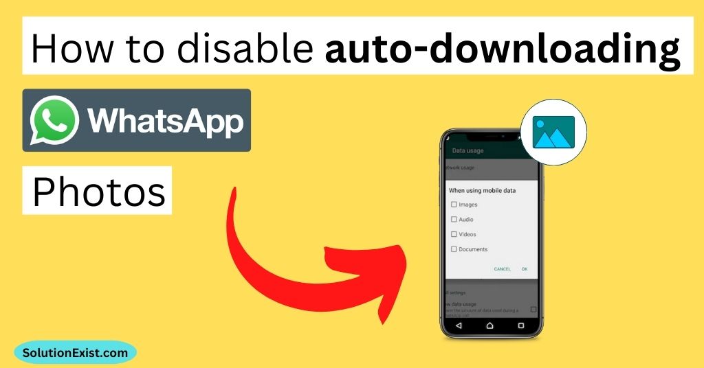 stop auto download in WhatsApp