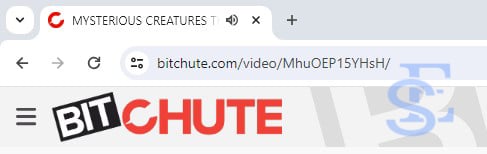 download video from bitchute